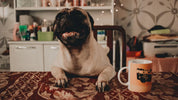 10 Best Custom Dog Mugs for Pet Parents in 2025