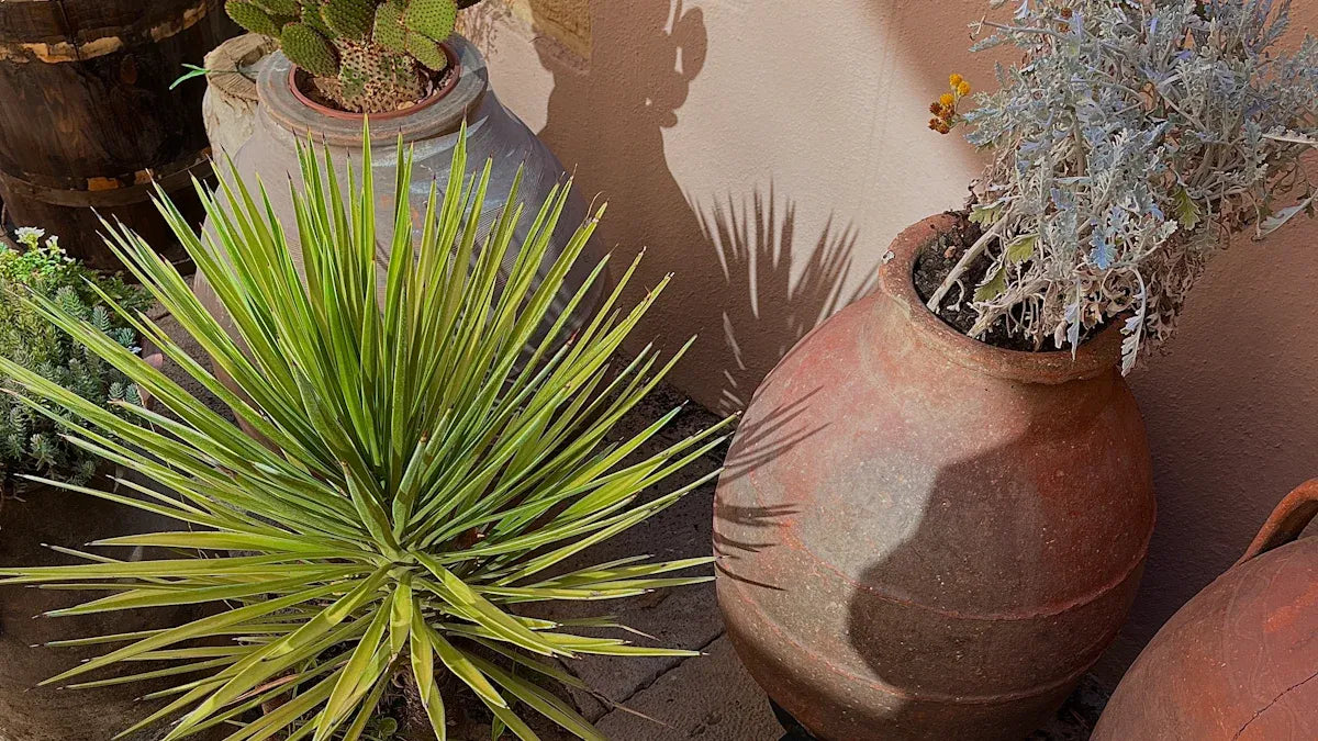 37 Creative Gift Ideas for Gardeners and Plant Lovers in 2025