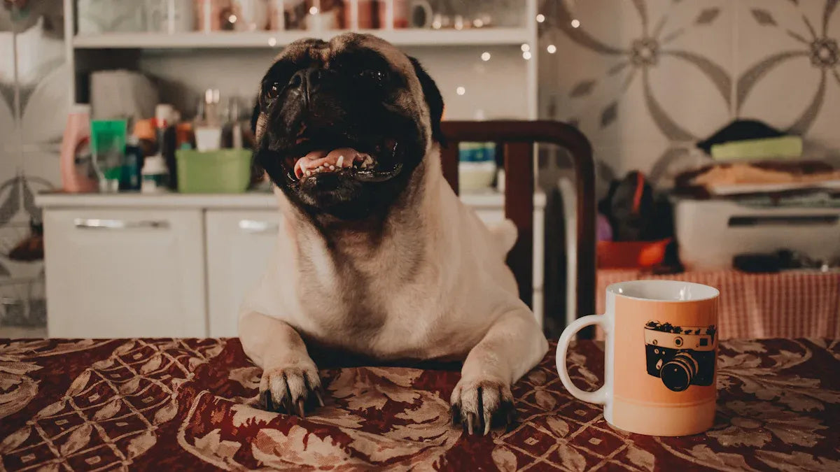 10 Best Custom Dog Mugs for Pet Parents in 2025