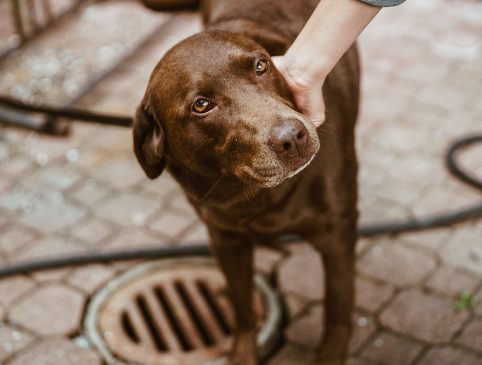 <h2>Makeone Gift Origin</h2>